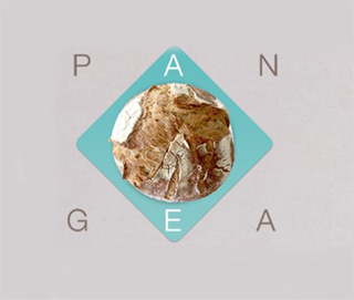 Pangea Panadería